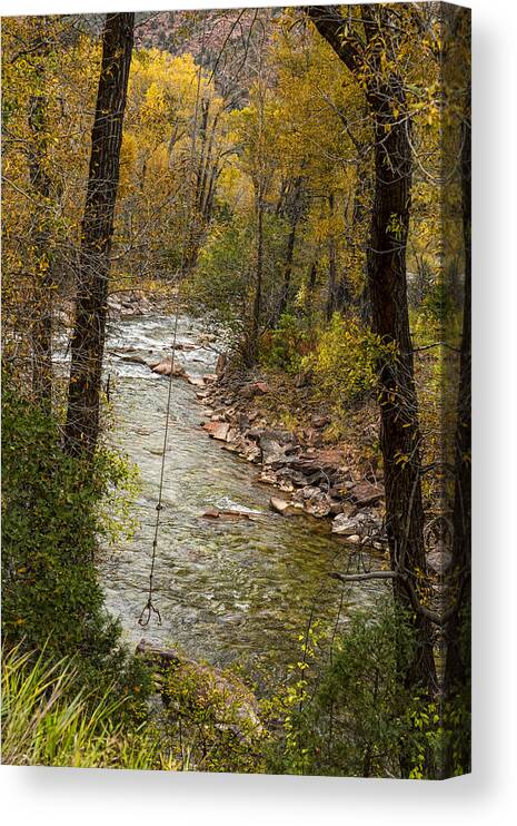 Swing Canvas Print featuring the photograph Trout Fishing Stream Crossing Swing by James BO Insogna