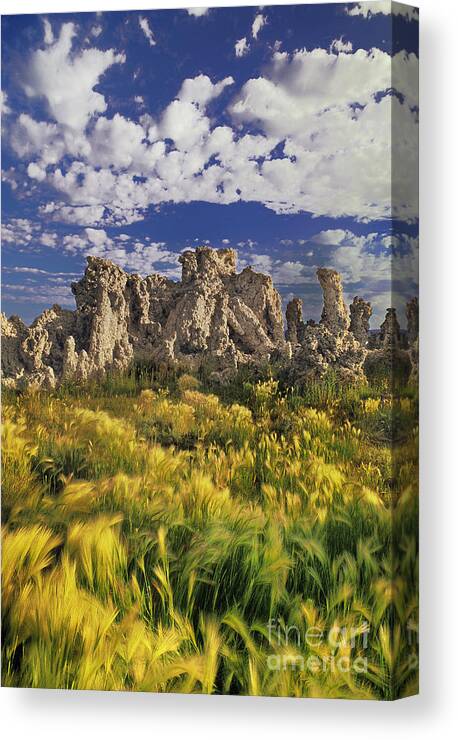 Dave Welling Canvas Print featuring the photograph Tufas And Wild Grasses Mono Lake State Park California by Dave Welling