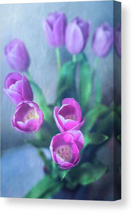 Purple Canvas Print featuring the photograph Tulips Study #1 by Elvira Pinkhas