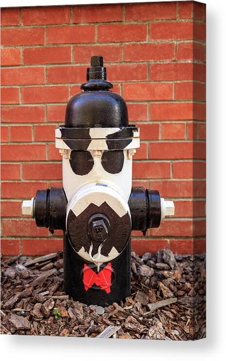 Hydrant Canvas Print featuring the photograph Tuxedo Hydrant by James Eddy