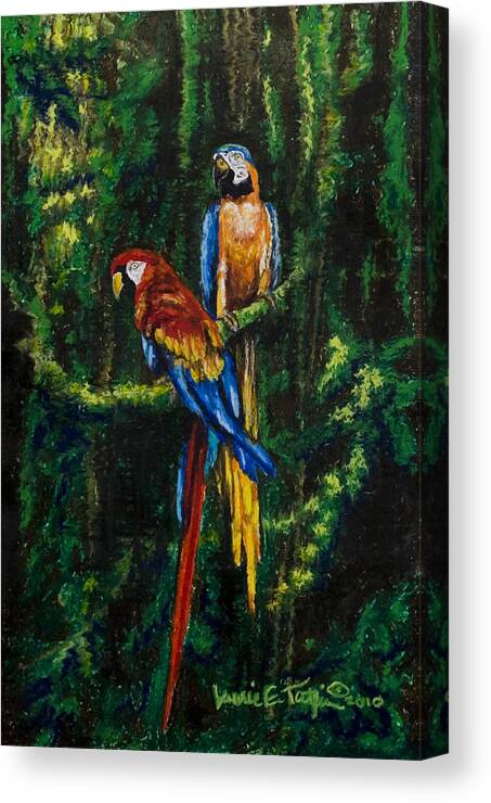 Macaws Canvas Print featuring the pastel Two Macaws in the Rain Forest by Laurie Tietjen