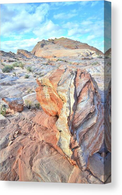 Valley Of Fire State Park Canvas Print featuring the photograph Valley of Fire Alien Boulder by Ray Mathis