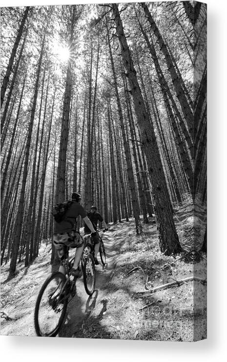 Mountain Canvas Print featuring the photograph Vermont Kingdom Trails by Colin Woods