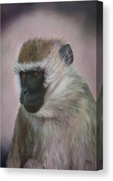Vervet; Contemplation; Wild Animal; Fur Canvas Print featuring the painting Vervet by Marg Wolf