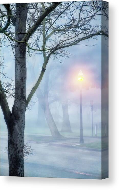 Park Canvas Print featuring the digital art Victory Park in Fog by Terry Davis