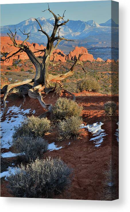Arches National Park Canvas Print featuring the photograph View along Park Road in Arches National Park by Ray Mathis