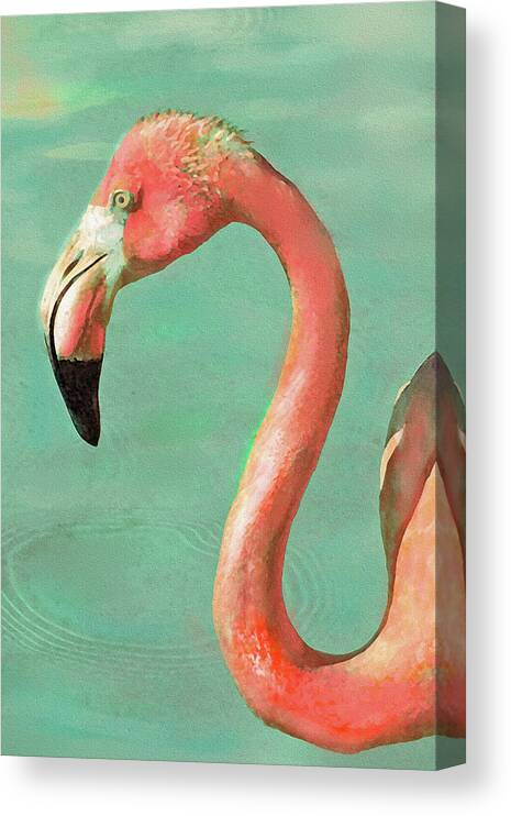Flamingo Canvas Print featuring the digital art Vintage Flamingo by Jane Schnetlage