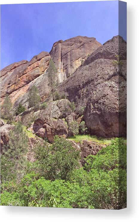 Pinnacles National Park Canvas Print featuring the photograph Volcanic Colors by Art Block Collections