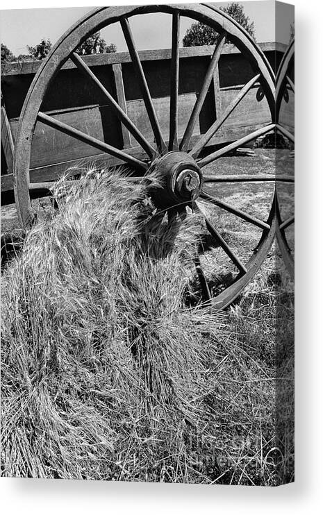 Wagon Wheel Cart Grain Crop Harvest Black White Monochrome Canvas Print featuring the photograph Wagon Wheel and Grain C2G 5772 by Ken DePue