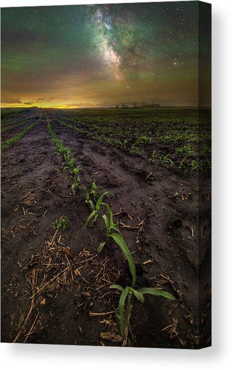 Spring Canvas Print featuring the photograph Walk the line by Aaron J Groen