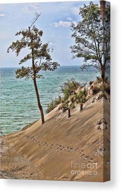 Sand Canvas Print featuring the photograph Walking on the Edge by Cathy Beharriell