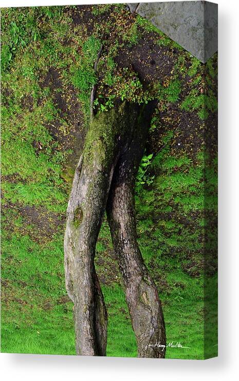 Abstract Canvas Print featuring the photograph Walking Tree by Harry Moulton