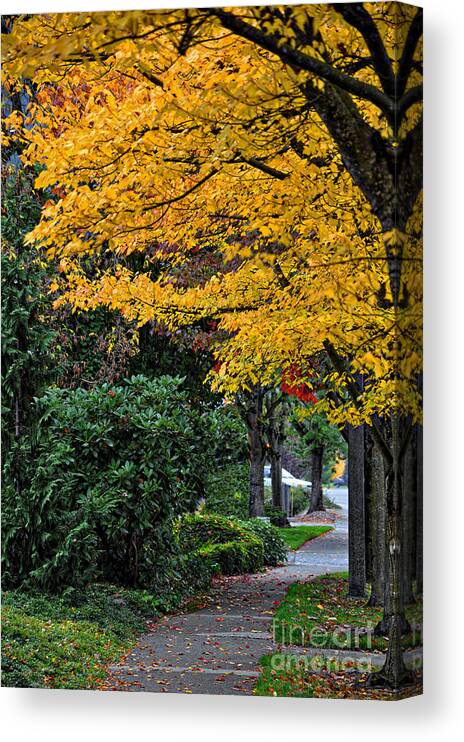 Autumn-colors Canvas Print featuring the photograph Walkway Under A Canopy Of Yellow by Kirt Tisdale