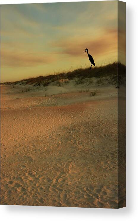 Sand Canvas Print featuring the photograph Watcher on the Dunes by Mitch Spence