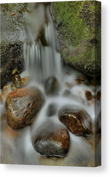 Stream Canvas Print featuring the photograph Water Movement Detail by Stephen Vecchiotti