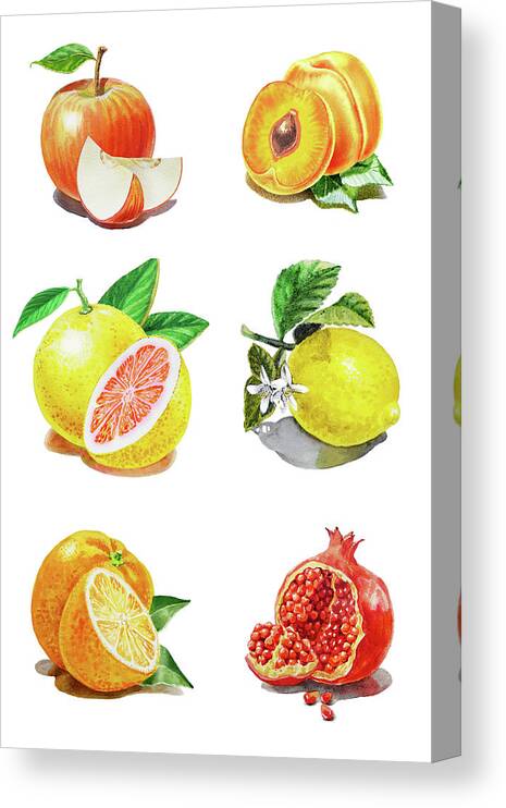 Apricot Canvas Print featuring the painting Watercolor Food Illustration Fruits by Irina Sztukowski
