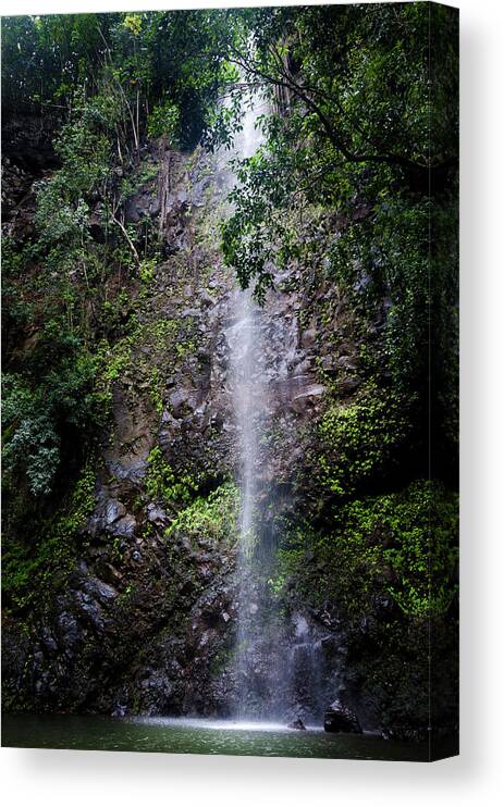 Waterfalls Canvas Print featuring the photograph Waterfall by Daniel Murphy