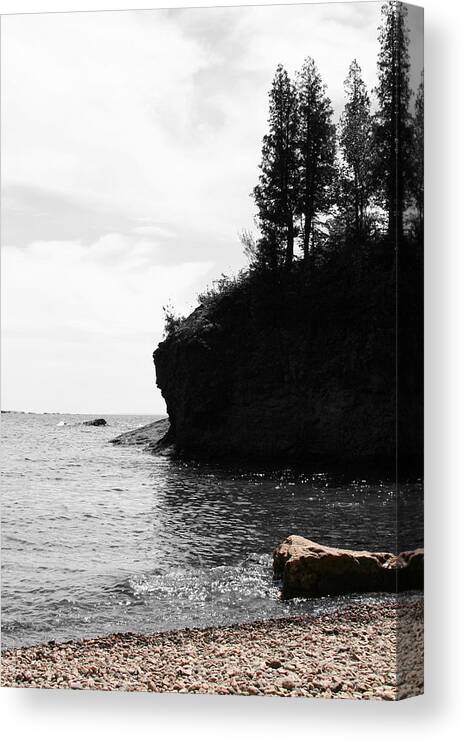 Water Canvas Print featuring the photograph Water's Edge by Dylan Punke