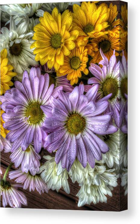 Daisies Canvas Print featuring the photograph We Need To Be Together by Mike Eingle