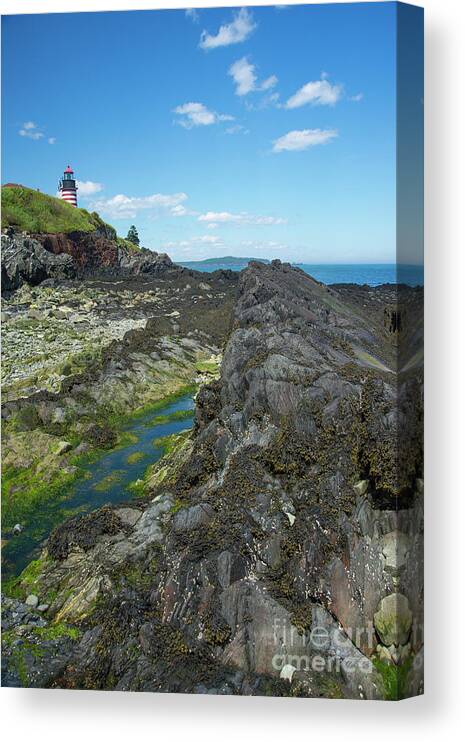 West Quoddy Head Light Canvas Print featuring the photograph West Quoddy Head Light by Alana Ranney