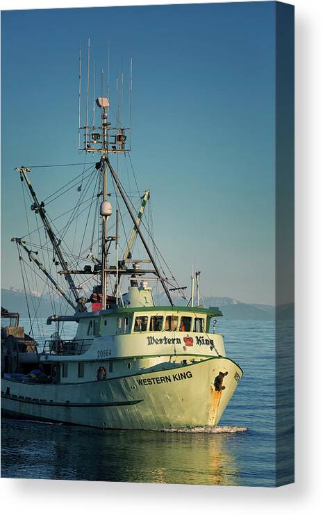 Western King Canvas Print featuring the photograph Western King At Breakwater by Randy Hall