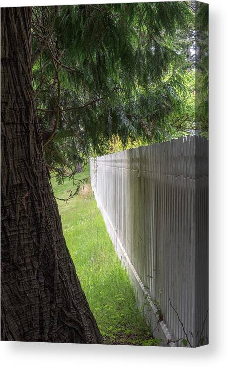 Oregon Coast Canvas Print featuring the photograph White Fence And Tree by Tom Singleton