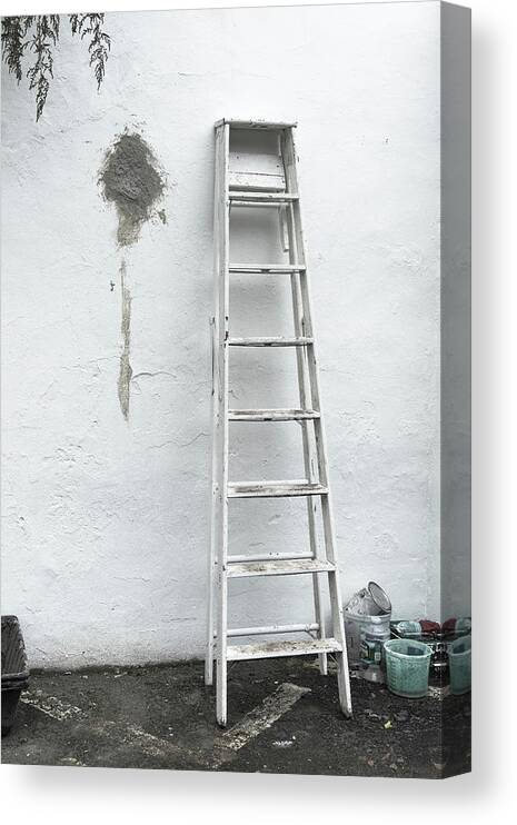 He Brattleboro Retreat Meadows Canvas Print featuring the photograph White Ladder by Tom Singleton