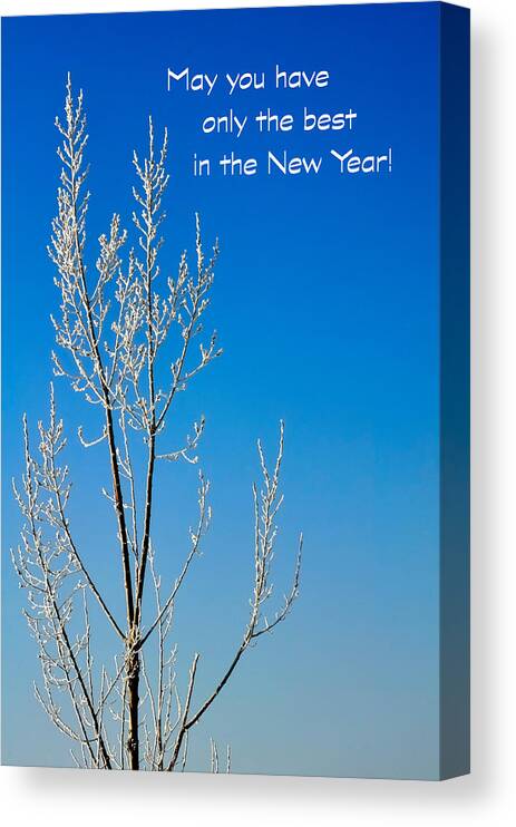 Season Canvas Print featuring the photograph White Tree New Year Card by Jerry Sodorff