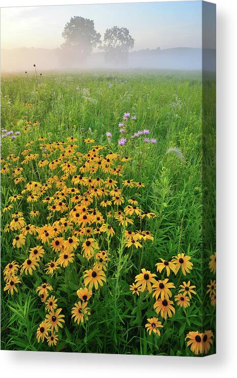 Glacial Park Canvas Print featuring the photograph Wildflowers of West Glacial Park at Sunrise by Ray Mathis