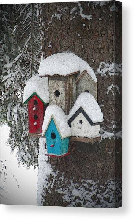 Winter Canvas Print featuring the photograph Winter Birdhouses by Tim Nyberg