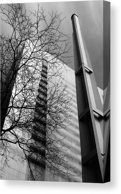 Architecture Canvas Print featuring the photograph Winter Branches Against The Cold by Kreddible Trout