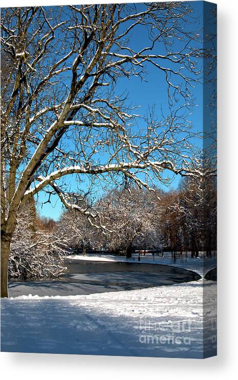 Winter Canvas Print featuring the photograph Winter Tree by Baggieoldboy