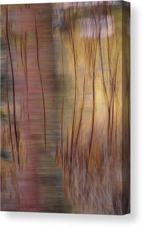 Abstract Canvas Print featuring the photograph Winter Willows Abstract by Deborah Hughes