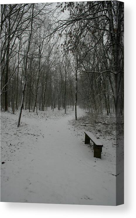 Snow Canvas Print featuring the photograph Winter Y by Dylan Punke