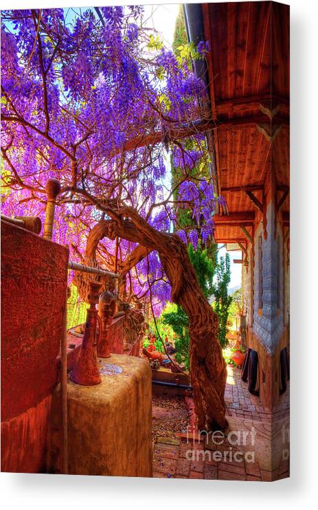 Wisteria Canvas Print featuring the photograph Wisteria Canopy in Bisbee Arizona by Charlene Mitchell