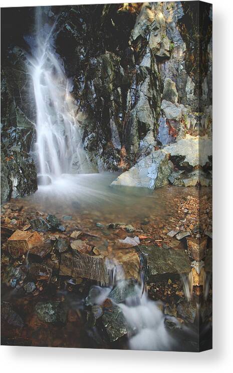 Ca Canvas Print featuring the photograph With Heart and Soul by Laurie Search