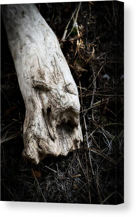 Abstract Canvas Print featuring the photograph Wood Spirit 2 by Cathy Mahnke