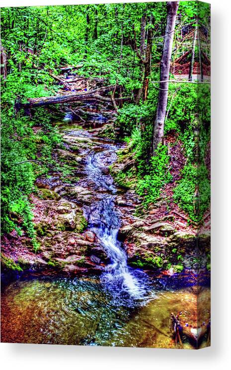 Woodland Canvas Print featuring the photograph Woodland Stream by Andy Lawless