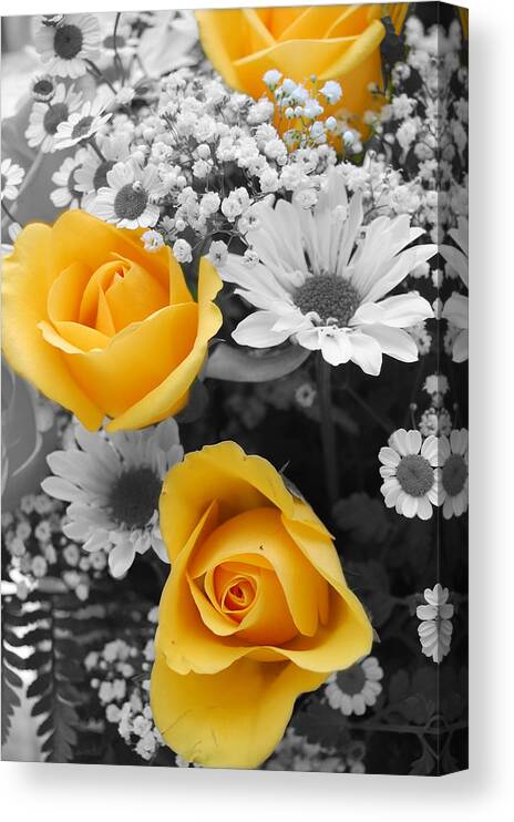 Rose Canvas Print featuring the photograph Yellow Roses by Amy Fose