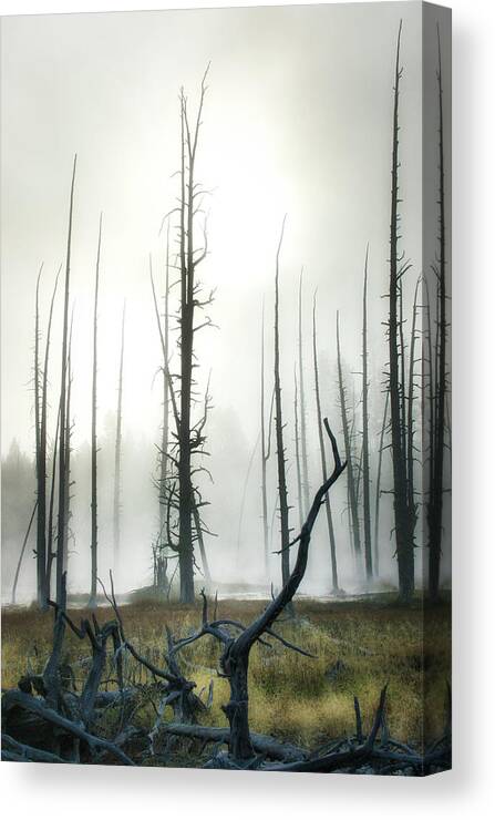 Yellowstone Canvas Print featuring the photograph Yellowstone N P by James Bethanis