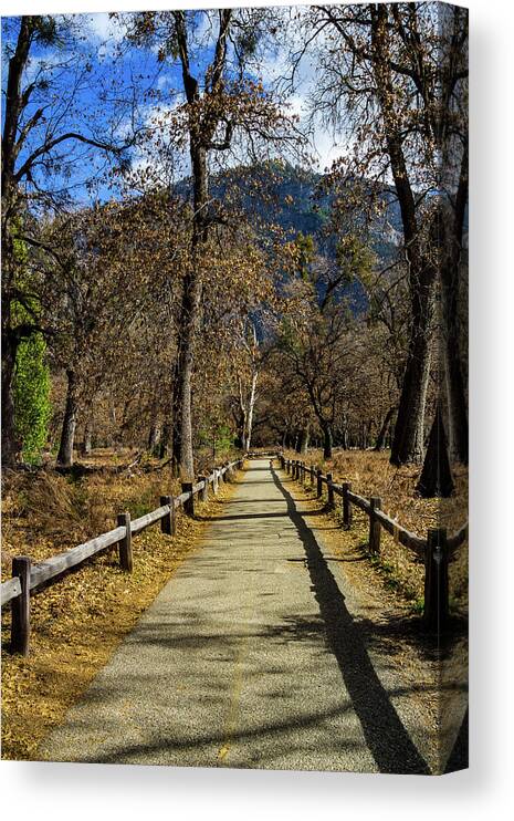 California Canvas Print featuring the photograph Yosemite walk with shadows by Roslyn Wilkins