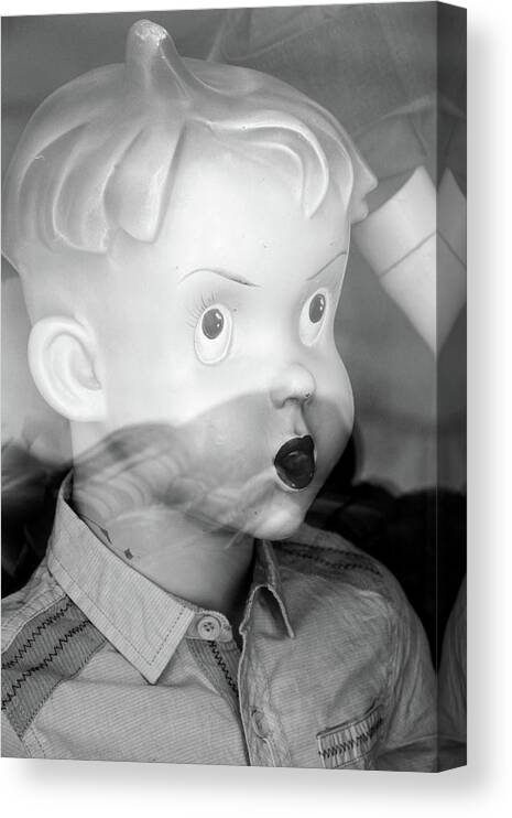 Jezcself Canvas Print featuring the photograph Young Willy by Jez C Self