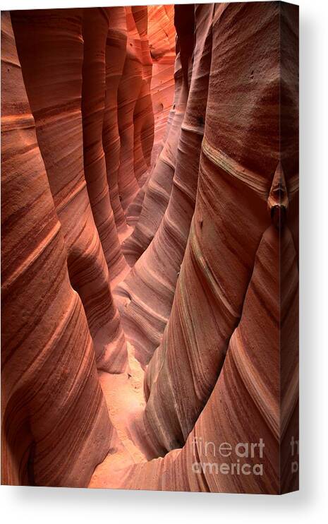 Slot Canyon Canvas Print featuring the photograph Zebra Slot Canyon by Adam Jewell
