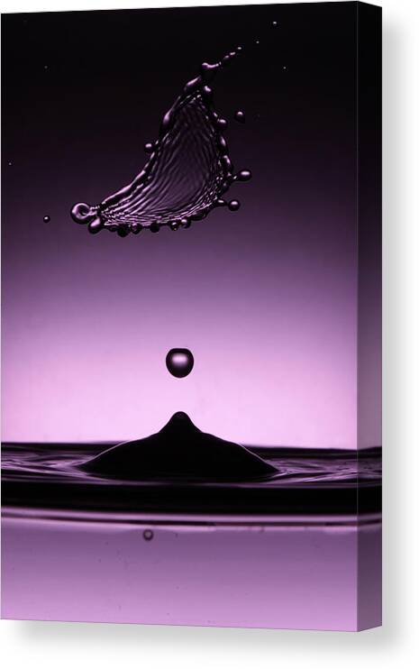 Minimalism Canvas Print featuring the photograph Zen Balance. Water Splash by Dmitry Soloviev