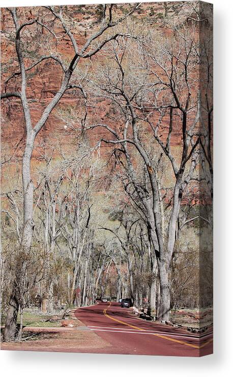 Zion Canvas Print featuring the photograph Zion At Kayenta Trail by Viktor Savchenko