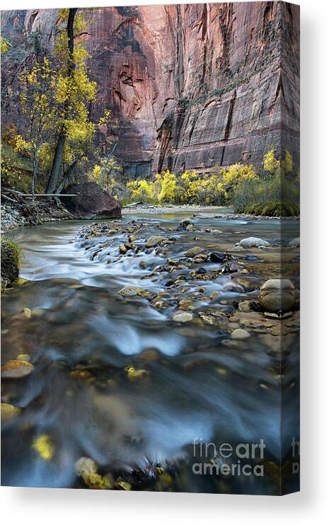 Zion Canvas Print featuring the photograph Zion Narrows Fall Colors along the Virgin River by Tibor Vari
