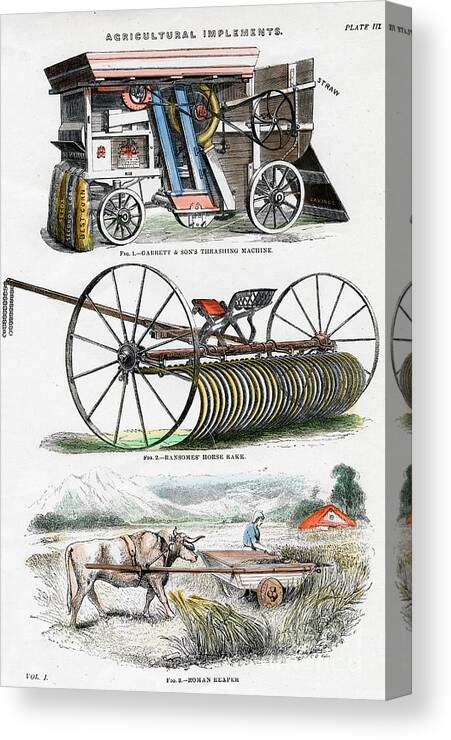 Working Animal Canvas Print featuring the drawing Agricultural Implements, 19th Century #1 by Print Collector
