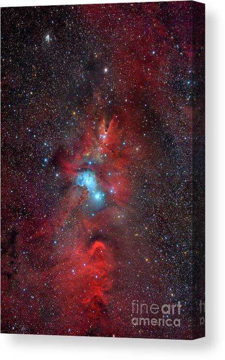 Absorption Nebula Canvas Print featuring the photograph Cone Nebula And Christmas Tree Cluster #1 by Miguel Claro/science Photo Library
