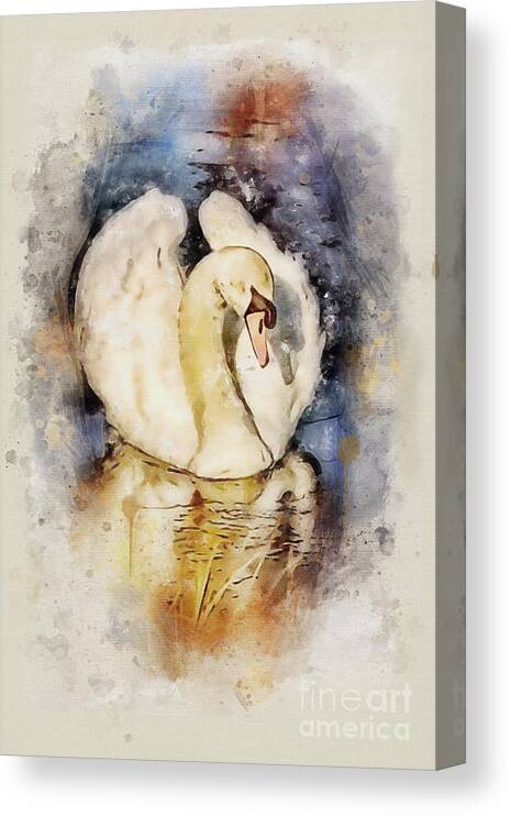 Mute Swan Canvas Print featuring the painting Cygnus #2 by John Edwards