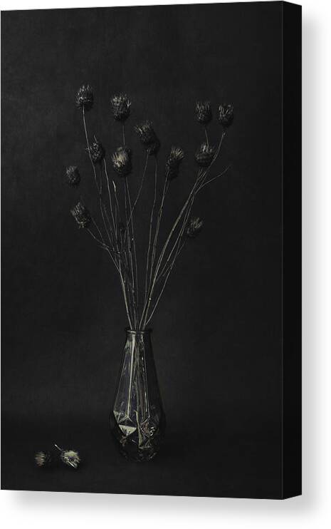 Dark-tones Canvas Print featuring the photograph Dark #1 by iek K?ral